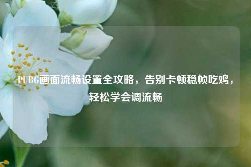 PUBG画面流畅设置全攻略,告别卡顿稳帧吃鸡,轻松学会调流畅
