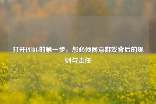 打开PUBG的第一步，您必须同意游戏背后的规则与责任
