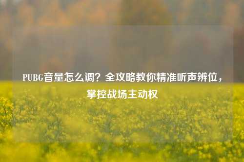 PUBG音量怎么调?全攻略教你精准听声辨位,掌控战场主动权