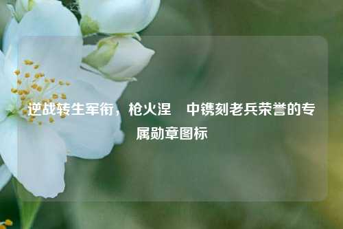 逆战转生军衔,枪火涅槃中镌刻老兵荣誉的专属勋章图标