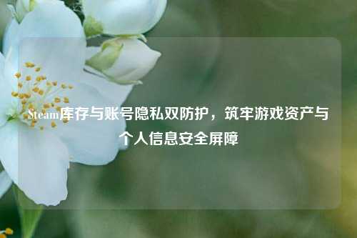 Steam库存与账号隐私双防护,筑牢游戏资产与个人信息安全屏障