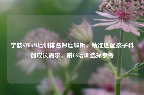 宁波STEAM培训排名深度解析,精准匹配孩子科创成长需求,附CS培训选择参考