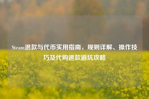Steam退款与代币实用指南,规则详解、操作技巧及代购退款避坑攻略