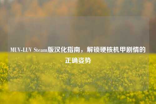 MUV-LUV Steam版汉化指南,解锁硬核机甲剧情的正确姿势