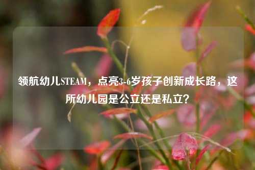 领航幼儿STEAM,点亮3-6岁孩子创新成长路,这所幼儿园是公立还是私立?
