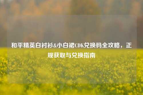 和平精英白衬衫&小白裙CDK兑换码全攻略,正规获取与兑换指南