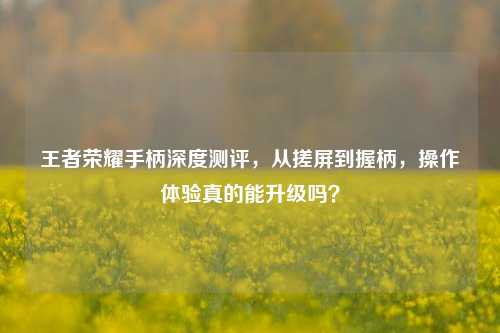 王者荣耀手柄深度测评，从搓屏到握柄，操作体验真的能升级吗？