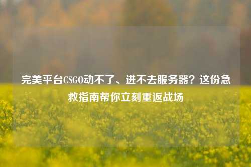 完美平台CSGO动不了、进不去服务器?这份急救指南帮你立刻重返战场