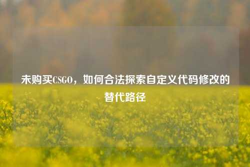 未购买CSGO，如何合法探索自定义代码修改的替代路径