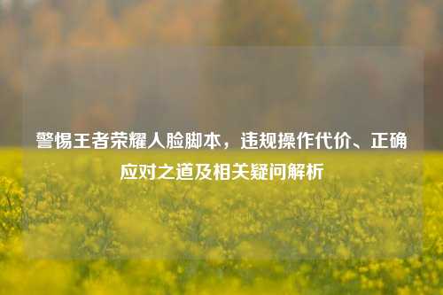 警惕王者荣耀人脸脚本,违规操作代价、正确应对之道及相关疑问解析