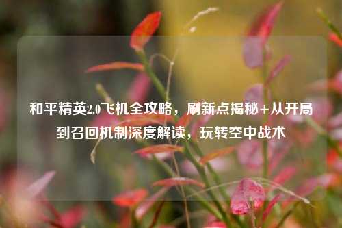 和平精英2.0飞机全攻略,刷新点揭秘+从开局到召回机制深度解读,玩转空中战术