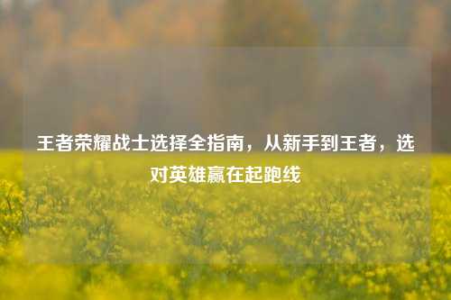 王者荣耀战士选择全指南,从新手到王者,选对英雄赢在起跑线