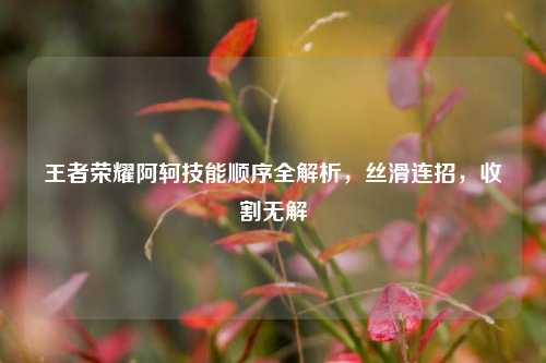 王者荣耀阿轲技能顺序全解析,丝滑连招,收割无解