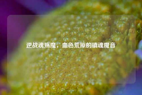 逆战魂殇魔,血色荒原的镇魂魔音