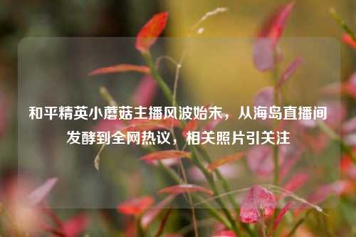 和平精英小蘑菇主播风波始末，从海岛直播间发酵到全网热议，相关照片引关注