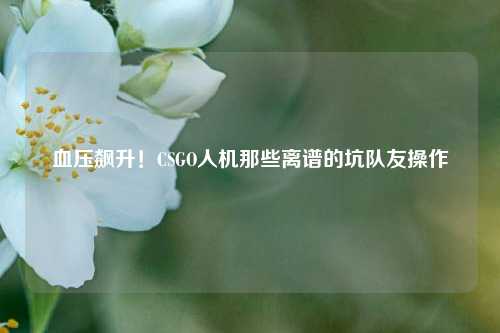 血压飙升!CSGO人机那些离谱的坑队友操作