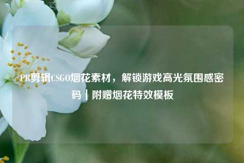 PR剪辑CSGO烟花素材，解锁游戏高光氛围感密码｜附赠烟花特效模板