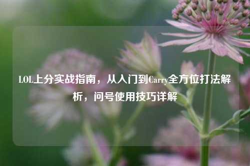 LOL上分实战指南,从入门到Carry全方位打法解析,问号使用技巧详解