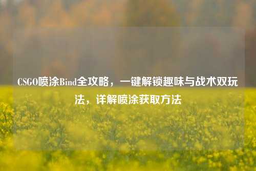 CSGO喷涂Bind全攻略,一键解锁趣味与战术双玩法,详解喷涂获取方法