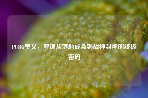 PUBG奥义,解锁从落地成盒到战神封神的终极密码