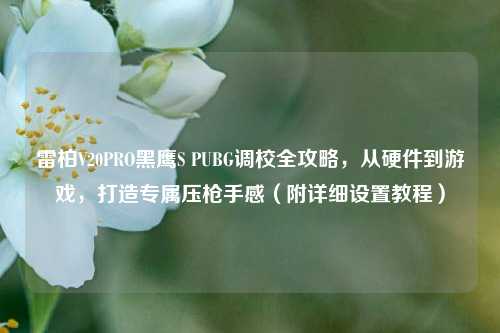雷柏V20PRO黑鹰S PUBG调校全攻略,从硬件到游戏,打造专属压枪手感(附详细设置教程)