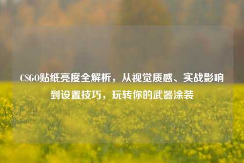 CSGO贴纸亮度全解析,从视觉质感、实战影响到设置技巧,玩转你的武器涂装