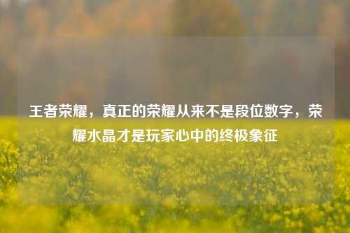 王者荣耀，真正的荣耀从来不是段位数字，荣耀水晶才是玩家心中的终极象征