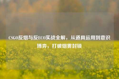 CSGO反烟与反ECO实战全解，从道具运用到意识博弈，打破烟雾封锁