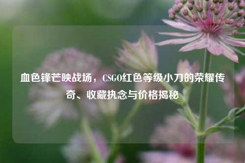 血色锋芒映战场,CSGO红色等级小刀的荣耀传奇、收藏执念与价格揭秘
