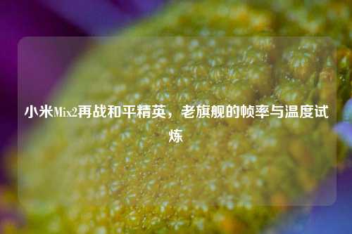 小米Mix2再战和平精英,老旗舰的帧率与温度试炼