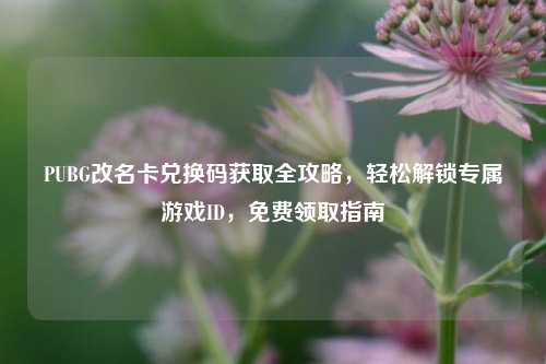 PUBG改名卡兑换码获取全攻略,轻松解锁专属游戏ID,免费领取指南