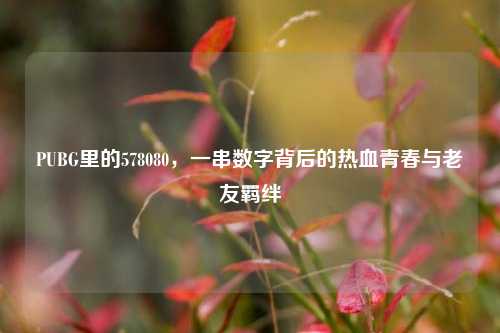 PUBG里的578080，一串数字背后的热血青春与老友羁绊