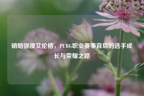 硝烟弥漫艾伦格,PUBG职业赛事背后的选手成长与荣耀之路