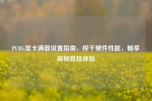 PUBG显卡满载设置指南,榨干硬件性能,畅享高帧竞技体验