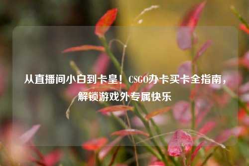 从直播间小白到卡皇！CSGO办卡买卡全指南，解锁游戏外专属快乐