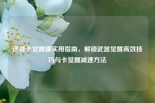 逆战卡觉醒罐实用指南,解锁武器觉醒高效技巧与卡觉醒减速方法