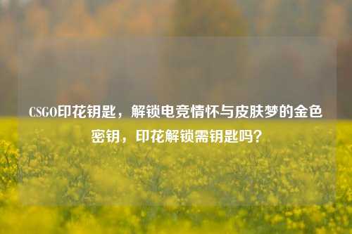 CSGO印花钥匙,解锁电竞情怀与皮肤梦的金色密钥,印花解锁需钥匙吗?