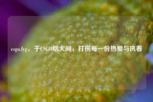 csgo.fyg,于CSGO烟火间,打捞每一份热爱与执着