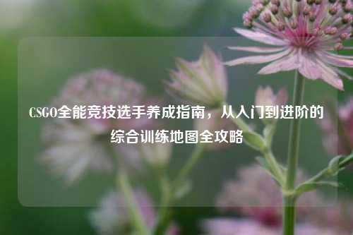 CSGO全能竞技选手养成指南,从入门到进阶的综合训练地图全攻略