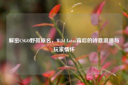 解密CSGO野荷原名,Wild Lotus背后的诗意浪漫与玩家情怀