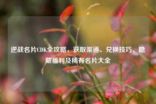逆战名片CDK全攻略,获取渠道、兑换技巧、隐藏福利及稀有名片大全