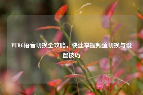PUBG语音切换全攻略,快速掌握频道切换与设置技巧
