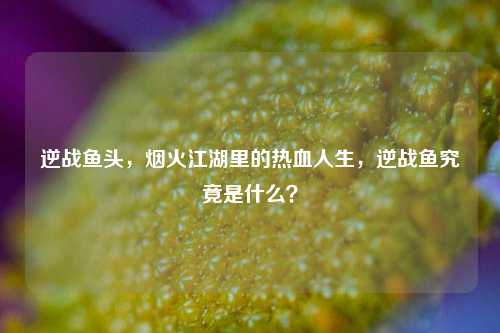 逆战鱼头,烟火江湖里的热血人生,逆战鱼究竟是什么?