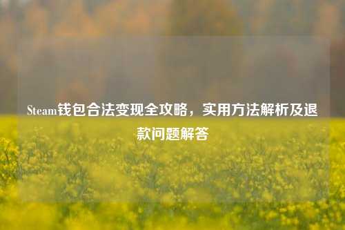 Steam钱包合法变现全攻略,实用方法解析及退款问题解答