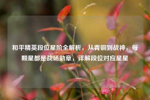 和平精英段位星阶全解析,从青铜到战神,每颗星都是战场勋章,详解段位对应星星