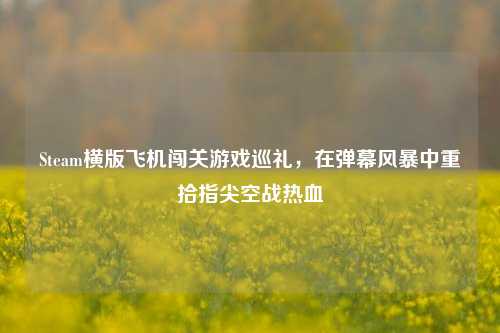 Steam横版飞机闯关游戏巡礼,在弹幕风暴中重拾指尖空战热血