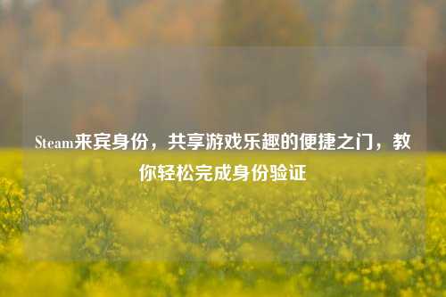 Steam来宾身份,共享游戏乐趣的便捷之门,教你轻松完成身份验证