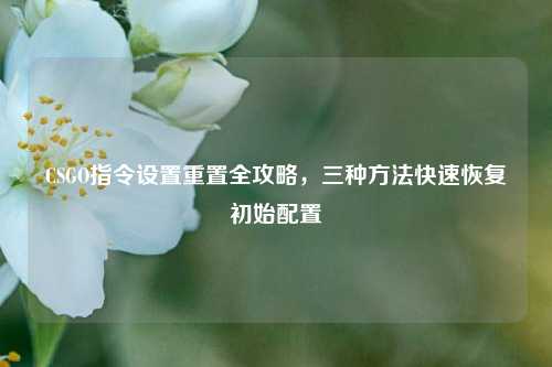 CSGO指令设置重置全攻略,三种方法快速恢复初始配置