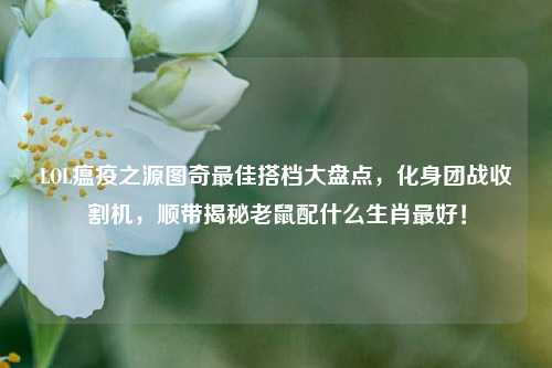 LOL瘟疫之源图奇最佳搭档大盘点，化身团战收割机，顺带揭秘老鼠配什么生肖最好！