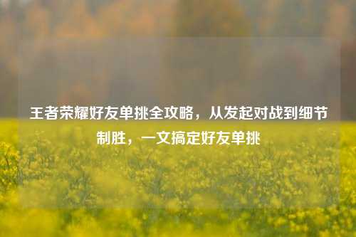 王者荣耀好友单挑全攻略,从发起对战到细节制胜,一文搞定好友单挑